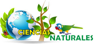 CIENCIAS NATURALES (B)
